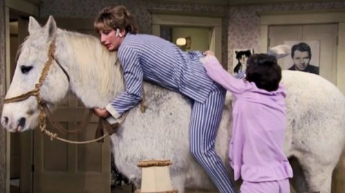 Background image for The Horse Show