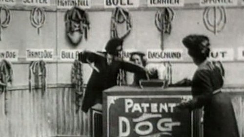 Background image for Science Fraud: Is the Tail Wagging the Dog?