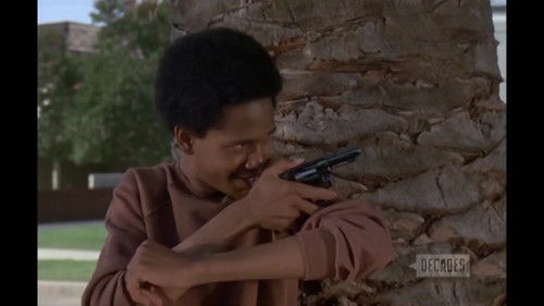 Background image for The Saturday Night Special