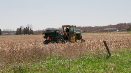 Hayfield of Dreams