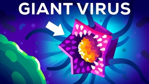Background image for This Virus Shouldn't Exist (But it Does)