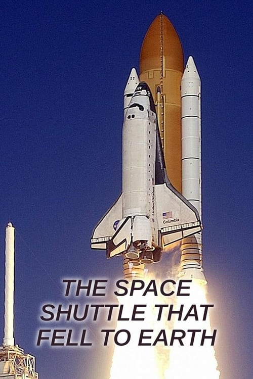 Show cover for The Space Shuttle That Fell to Earth