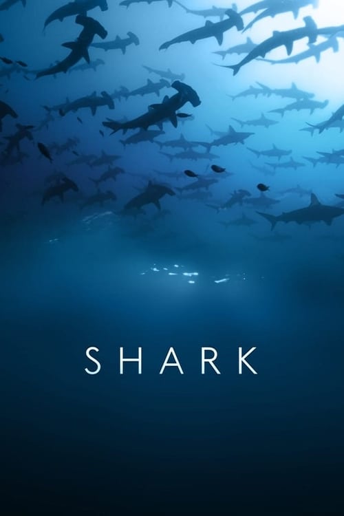 Show cover for Shark