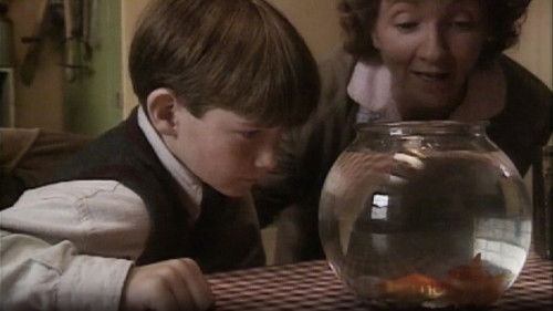 Background image for Big Fish, Little Fish