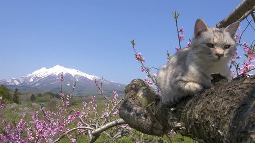 Background image for Tsugaru, Where Life Begins