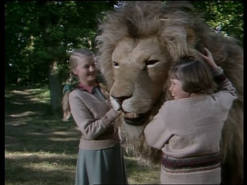 The Lion, the Witch and the Wardrobe (6)