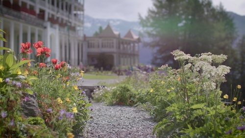 Background image for An alpine garden