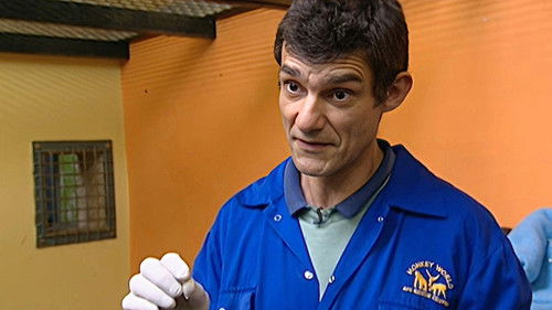 Background image for Episode 10