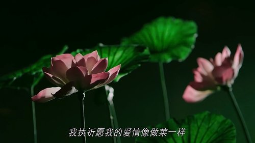 Background image for Episode 13
