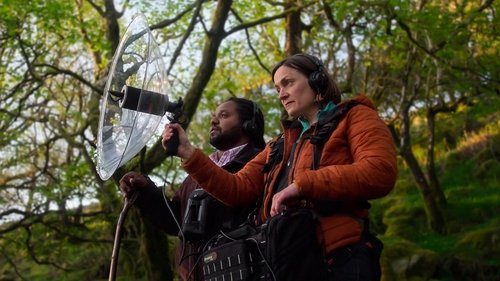 Background image for Spring