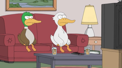 Two Ducks Watch 'Meet The Parents'