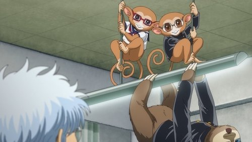 Background image for People Can Change How They Look But Not Who They Are / No Matter How Old You Get, Tests Always Suck / When You Ask Someone for Advice, You Usually Know the Solution Yourself Deep Down