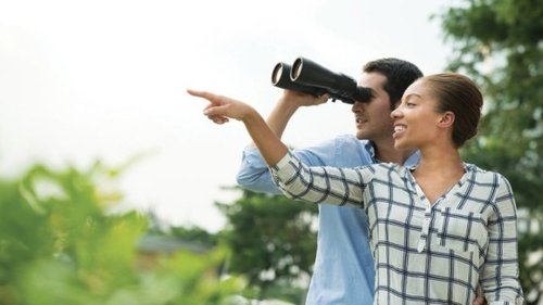 Birding Ethics and Conservation
