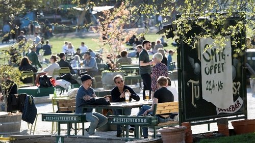 Background image for The Swedish Model