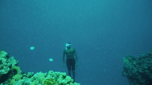 Background image for Introduction