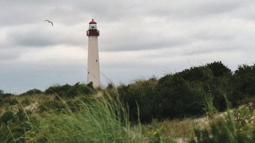 Birding Sites in Eastern North America