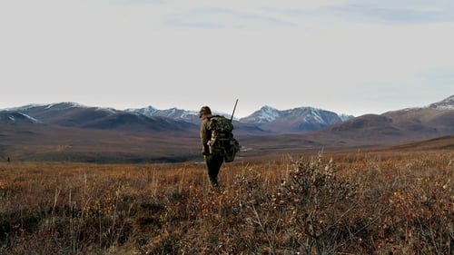 Yukon Giants: Northern Alaska Moose (1)