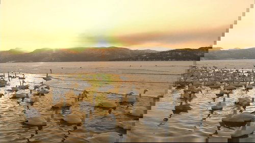 Background image for Lake Kussharo in Winter