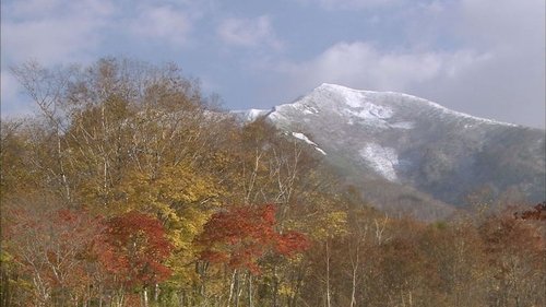 Background image for Niseko Mountain Range in Autumn