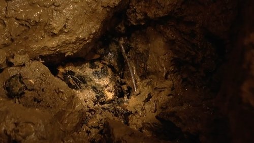 Background image for The Bone Caves - Alveston, Gloucestershire