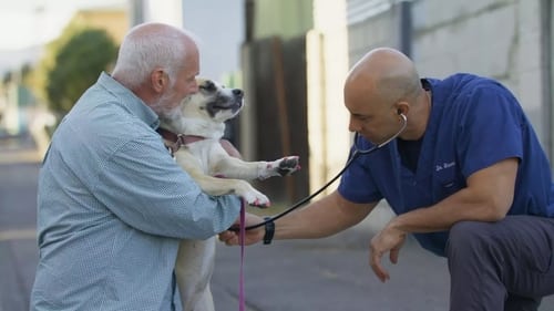 Andrew & Kuma