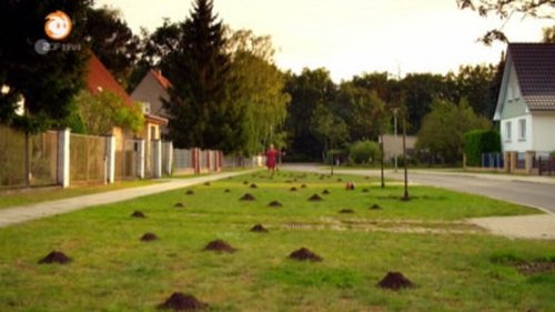 Background image for Maulwurf - Der unsichtbare Untermieter