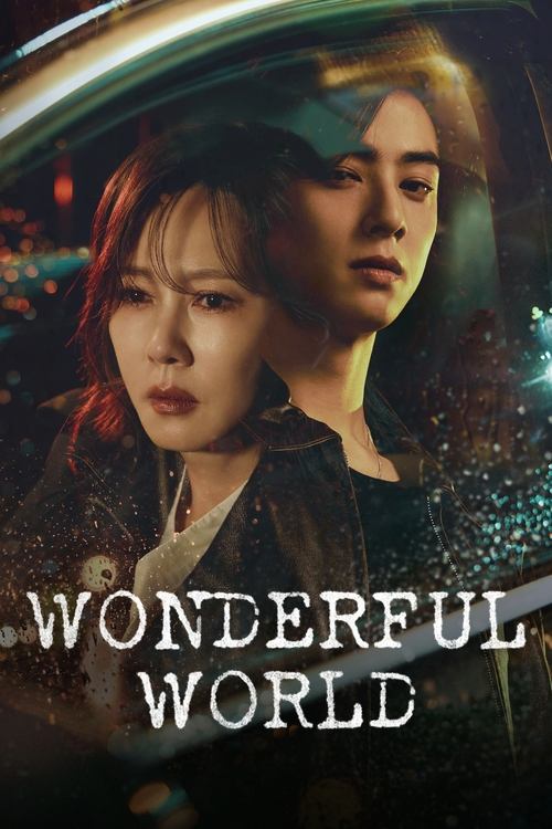 Show cover for Wonderful World