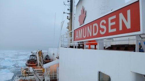 Background image for CCGS Amundsen