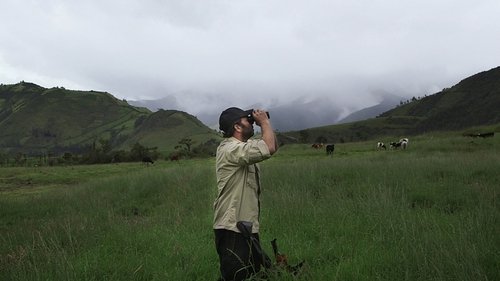 Background image for Bear Alert