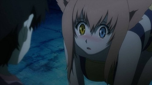 Background image for The Truth about Wolves