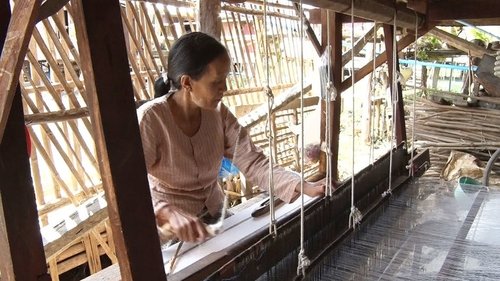Background image for Homegrown Cotton for a Homegrown Brand: Myanmar
