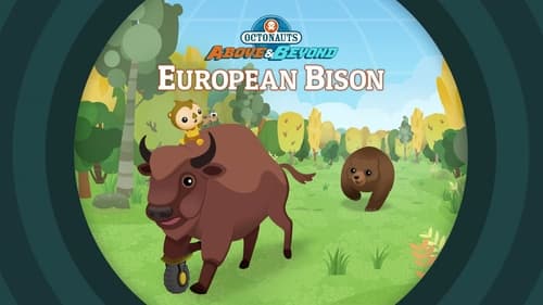 European Bison