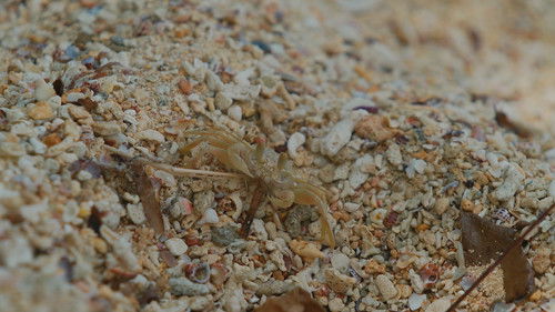 Background image for Episode 13