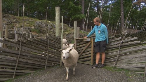 Background image for Episode 1