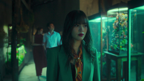 Background image for All the Flowers in the Garden