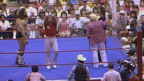 Background image for WCCW - May 17, 1986