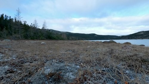 Background image for Outfoxed