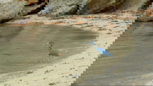 Background image for Episode 7