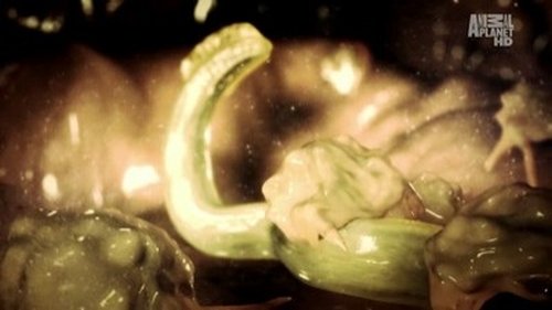 Background image for Homegrown Enemies