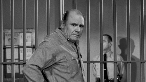 Background image for The Case of the Stand-In Sister