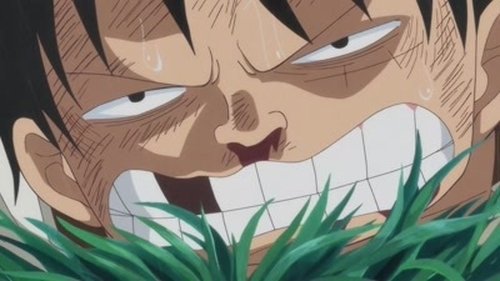 Background image for I'll Wait Here! Luffy vs. the Enraged Army!