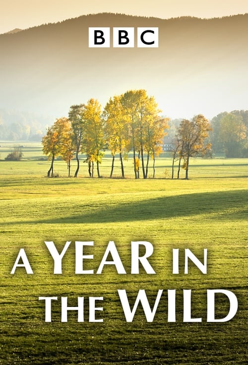 Show cover for A Year in the Wild