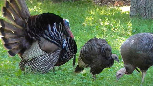 Background image for Back from the Dead