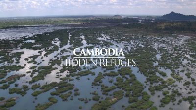 Background image for Cambodia: Hidden Refuges