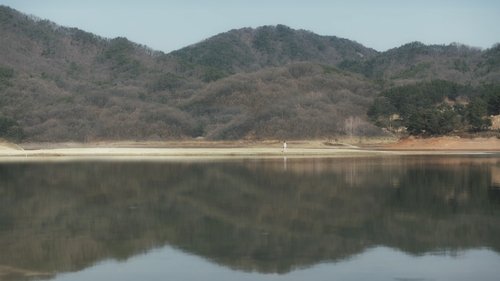 Background image for A Walk