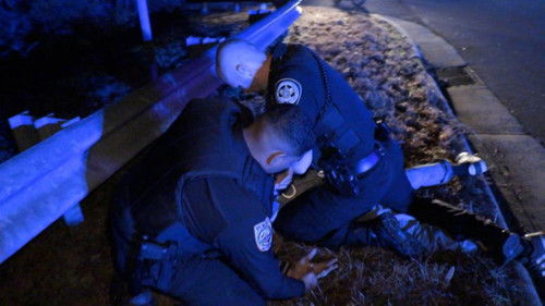 Multi Department Pursuit