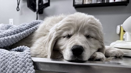 Background image for Episode 6