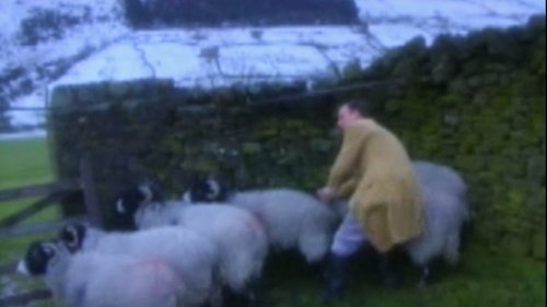 Background image for The Nelson Touch