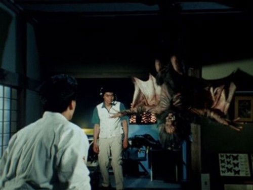 The Ghost of the Village