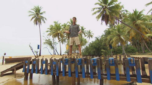 Background image for Episode 22